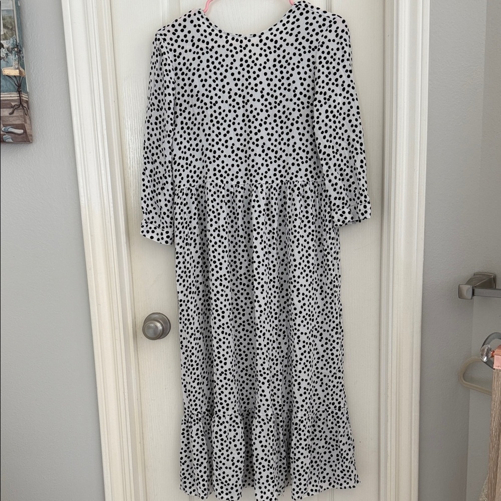 Zara Black and White Polka Dot Maxi Dress